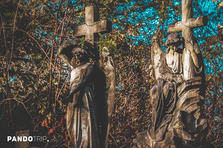 Abney Park cemetery one of the Magnificent Seven cemeteries in London