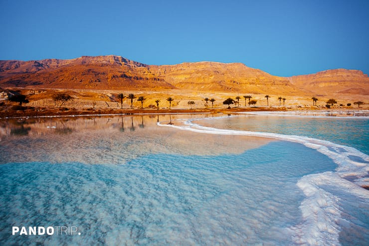 Dead Sea seashore