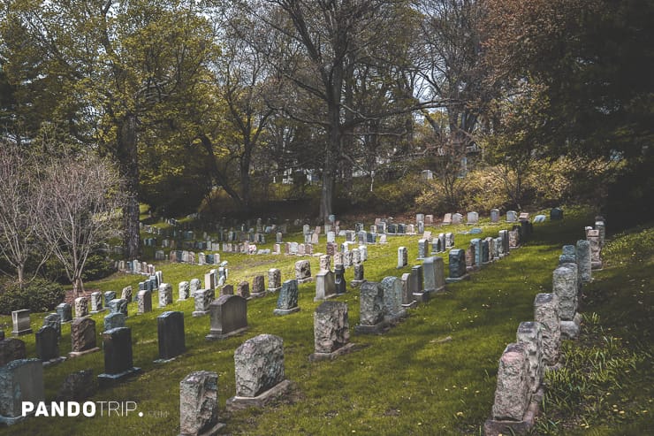 Mount Auburn Cemetery, Cambridge, Massachusetts