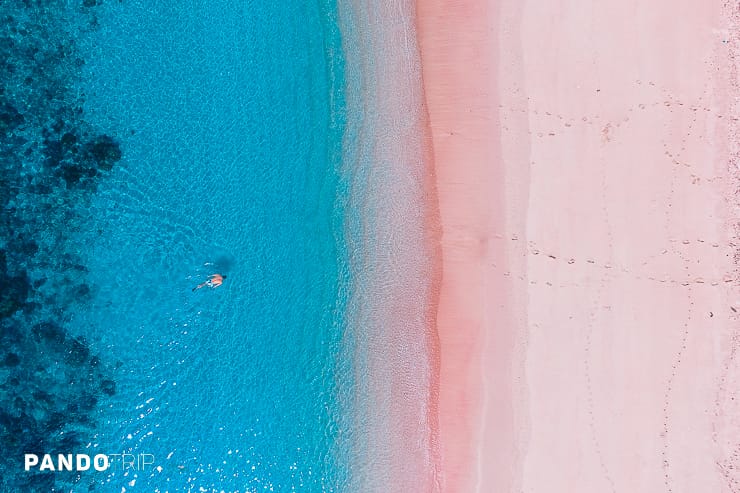 Pink beach, Komodo Island