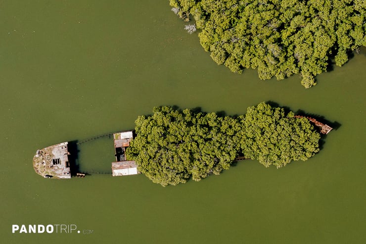 Aerial view of Floating Forest in Sydney Australia