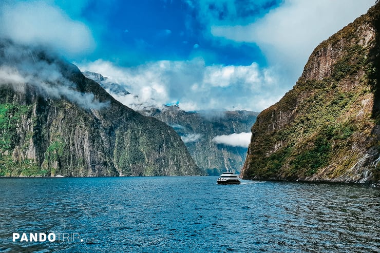 Cruising Milford Sound, New Zealand