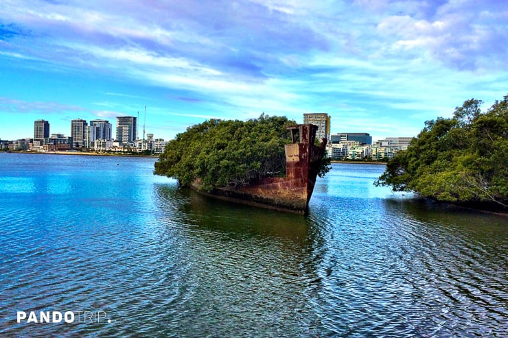 Floating Forest in Sydney Australia