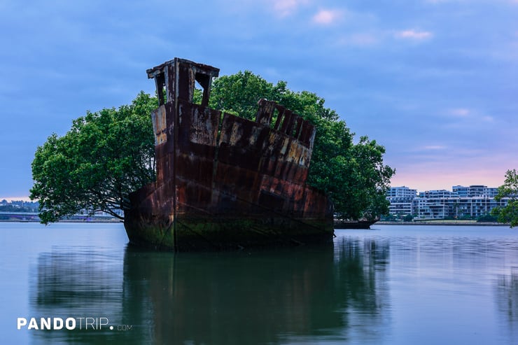 Floating Forest in Sydney Australia