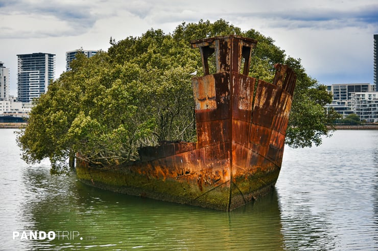 Floating Forest in Sydney Australia