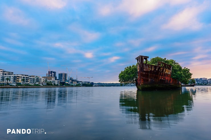 Floating Forest in Sydney Australia