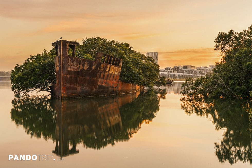 Floating Forest – an Unusual Attraction in Sydney, Australia