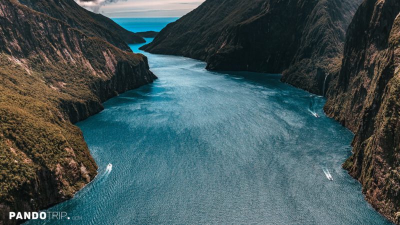 Milford Sound from above