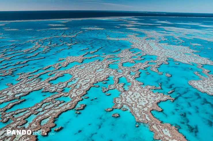 Great Barrier Reef from above