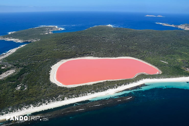 Pink Lake Hillier