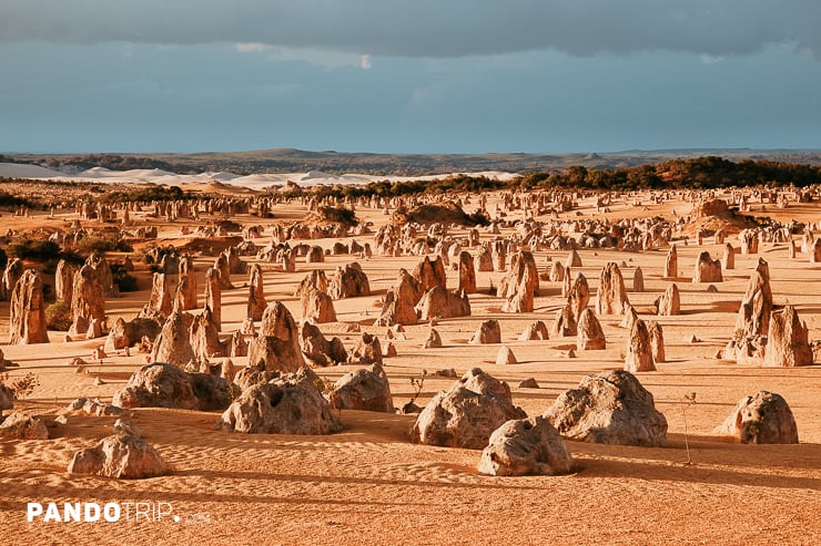 The Pinnacles Desert, Nambung National Park