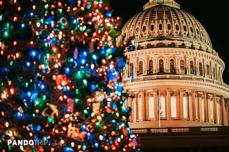 Close view of Capitol Christmas Tree