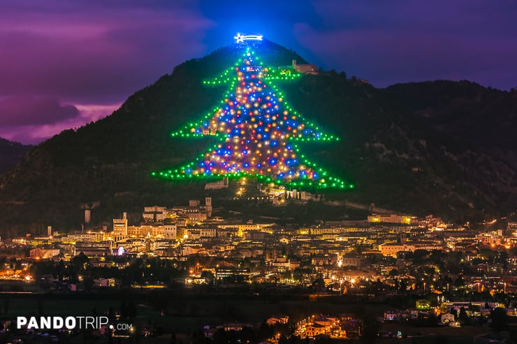 Mount Ingino Christmas Tree