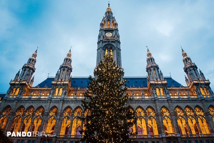Rathaus Christmas Tree in Vienna