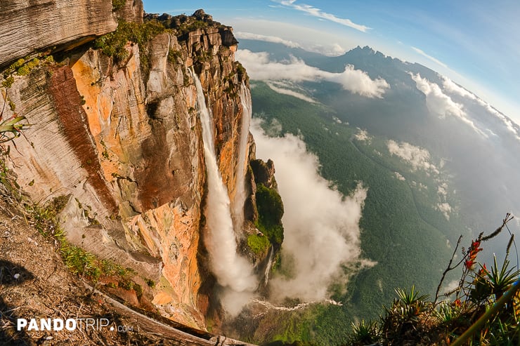 Angel Falls