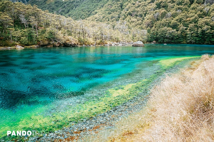 Blue Lake or Rotomairewhenua, Nelson Lakes National Park, New Zealand