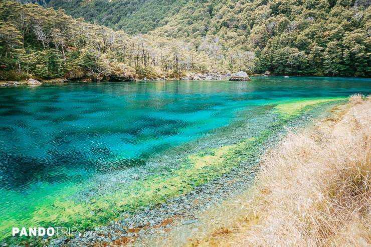 Blue Lake or Rotomairewhenua, Nelson Lakes National Park, New Zealand