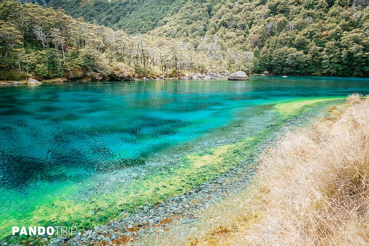 Blue Lake - le lac le plus clair du monde à Nelson, Nouvelle-Zélande ...