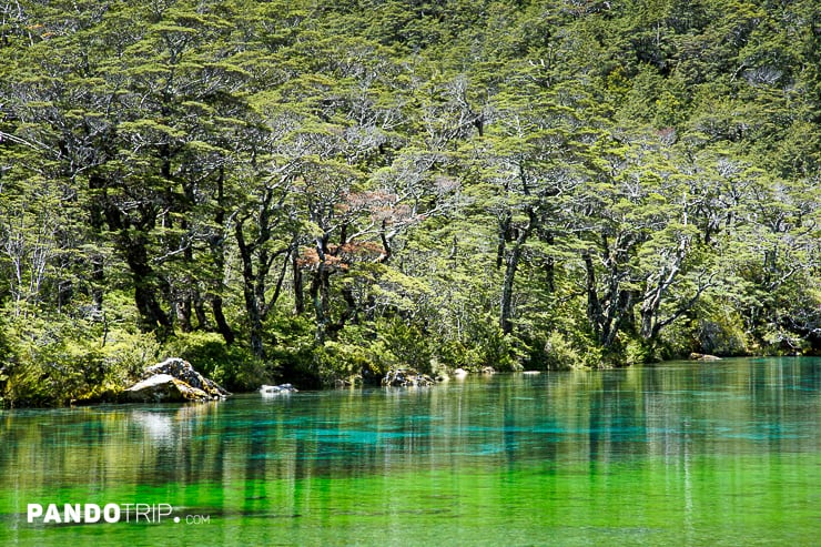 Blue Lake or Rotomairewhenua, Nelson Lakes National Park, New Zealand