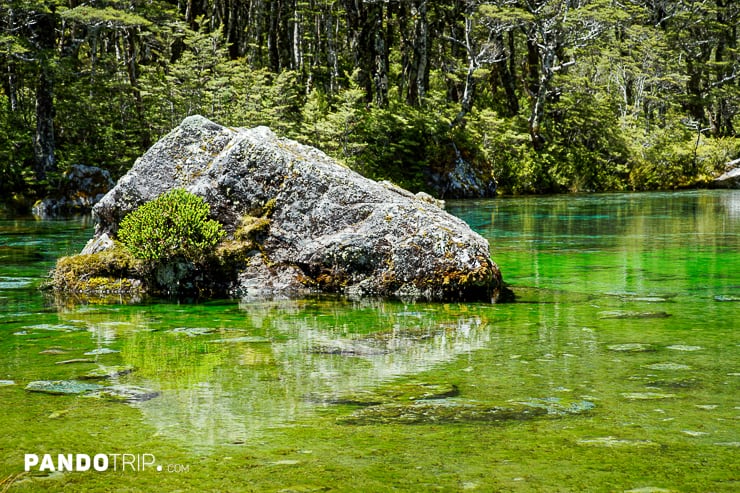 Blue Lake or Rotomairewhenua, Nelson Lakes National Park, New Zealand