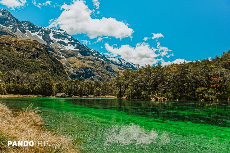 Blue Lake or Rotomairewhenua, Nelson Lakes National Park, New Zealand