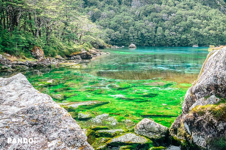 Blue Lake or Rotomairewhenua, Nelson Lakes National Park, New Zealand
