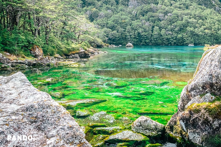 Blue Lake - le lac le plus clair du monde à Nelson, Nouvelle-Zélande ...