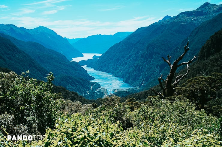 Doubtful Sound, Fiordland, New Zealand