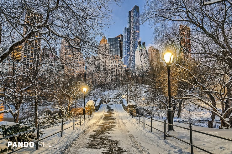 Central Park in winter, New York City