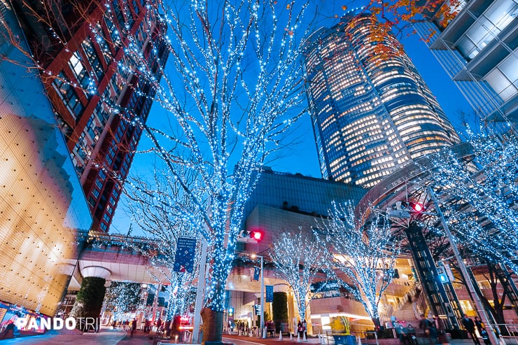 Keyakizaka Street Illumination in Roppongi, Tokyo