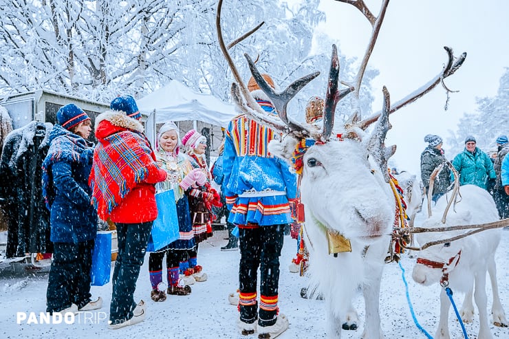 Teindeers at Jokkmokk winter market