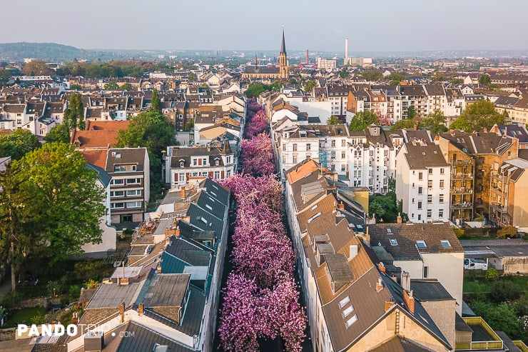 Aerial view of Heerstrasse