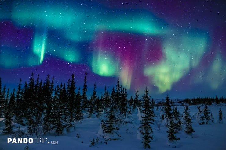 Aurora Borealis in Churchill, Manitoba