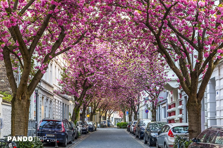 Breitestrasse in Bonn