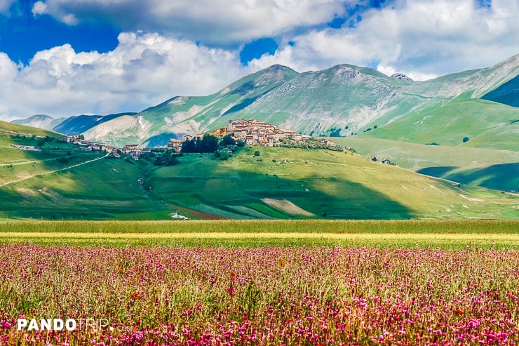 Flowering of Castelluccio di Norcia