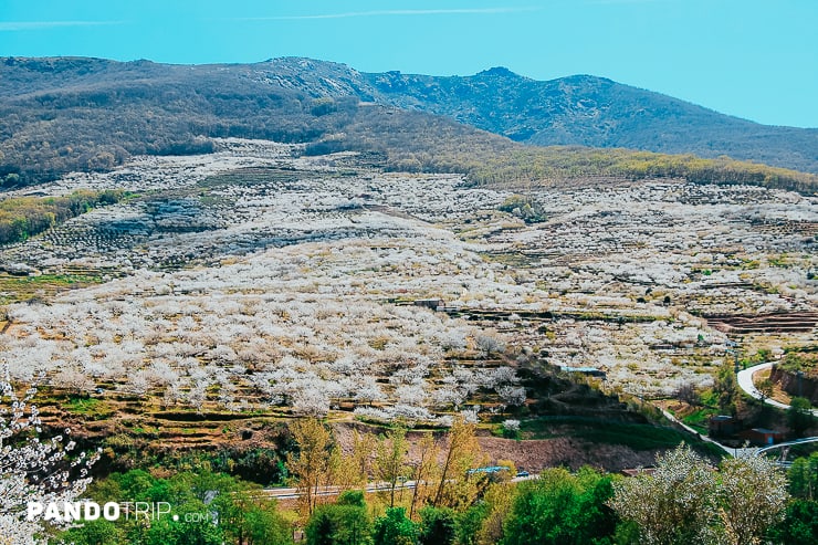 Jerte Valley, Spain