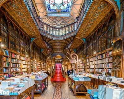 Get Lit at the Porto Bookstore: A Guide to Livraria Lello