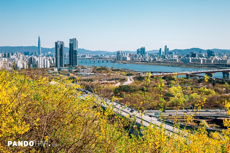 Seoul cityscape from Eungbongsan Mountain with yellow forsythia