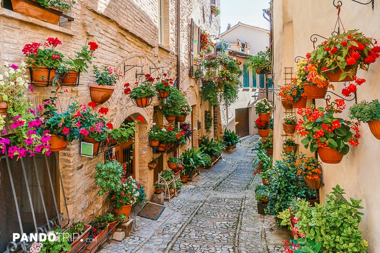 Spello, Umbria