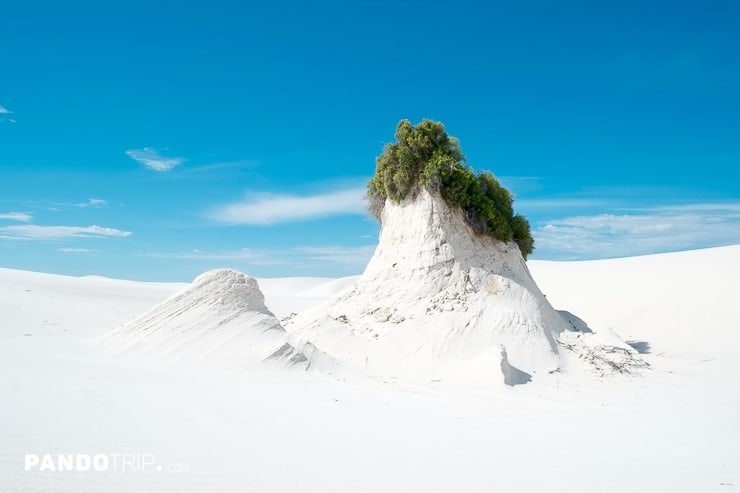 Gypsum Desert