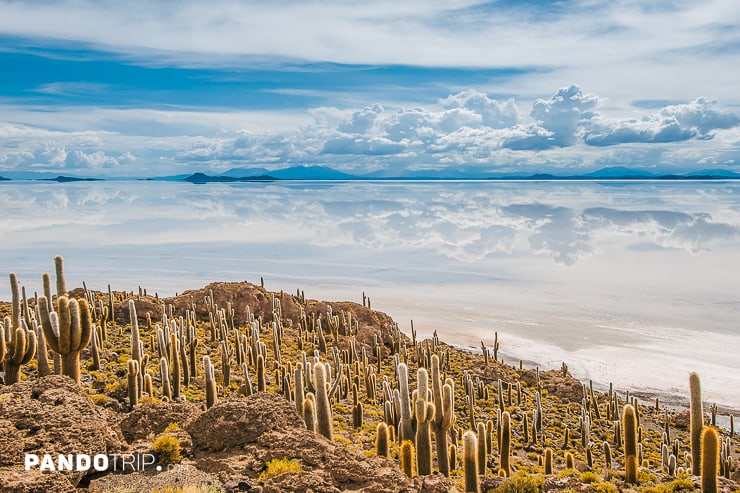 Incahuasi island, Salar de Uyuni, Bolivia