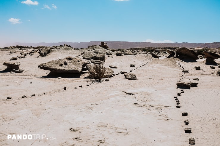 Ischigualasto Provincial Park, Argentina