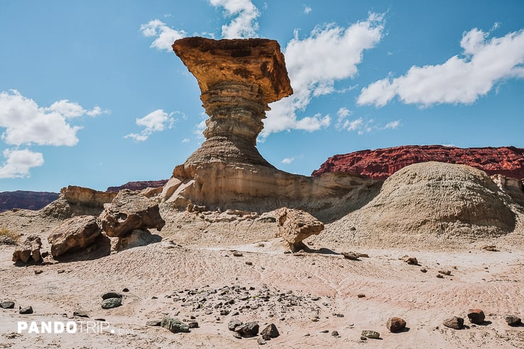 The Mushroom or El Hongo