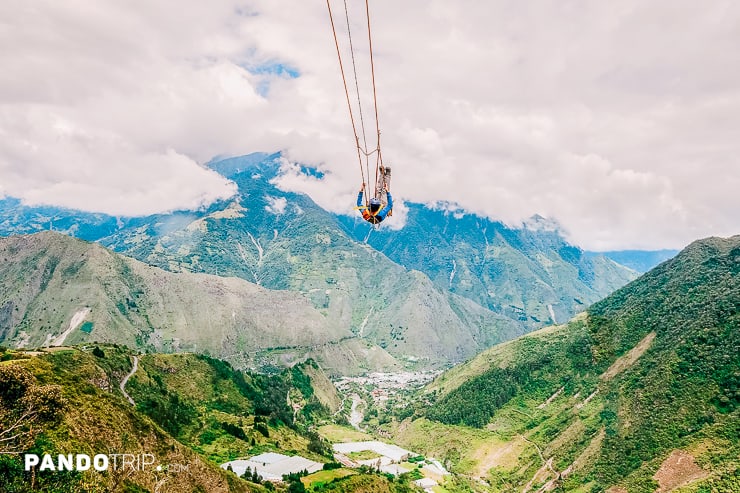 The Wildest Swing In The World, Casa Del Arbol