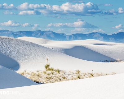 White Sand Desert, USA – the Largest Gypsum Desert in the World
