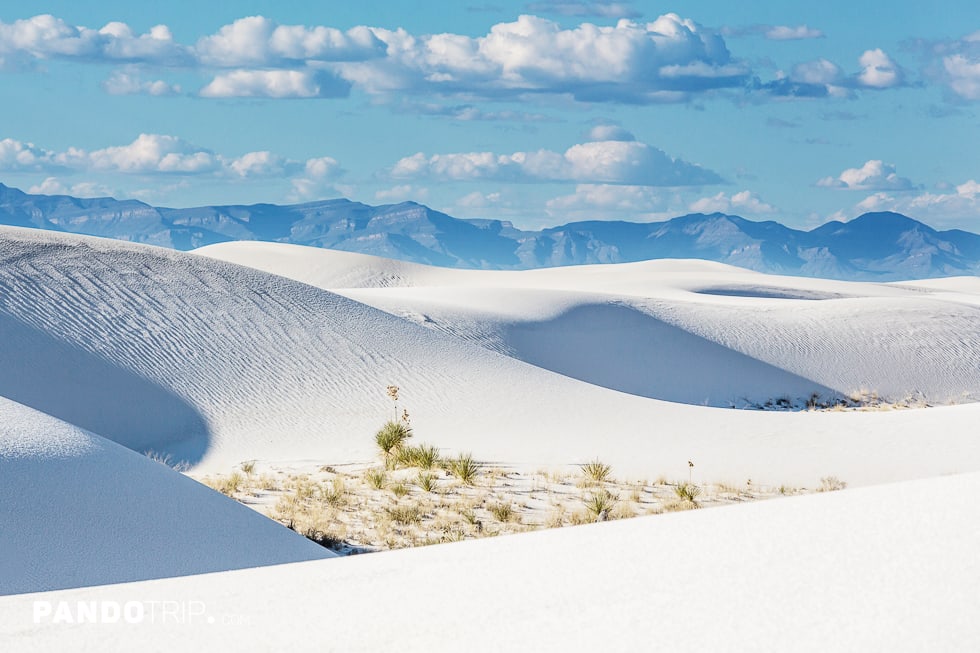 White Sand Desert, USA – the Largest Gypsum Desert in the World