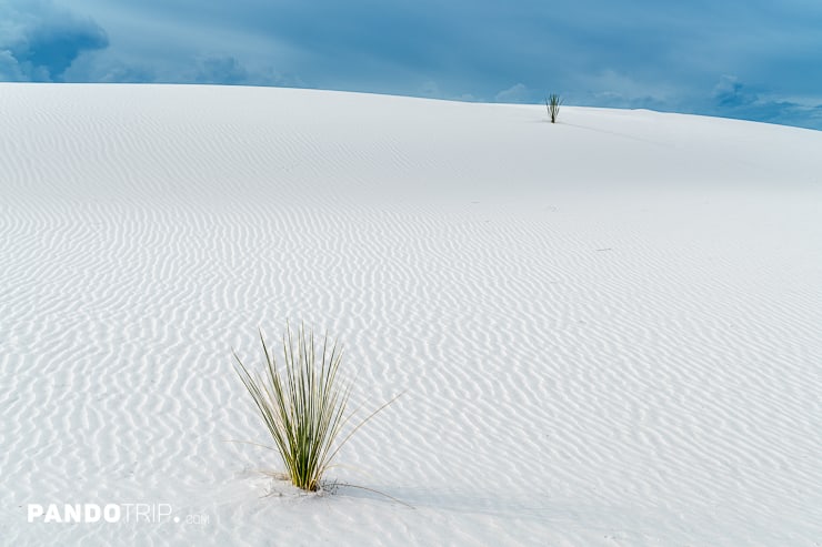 White Sand Desert USA