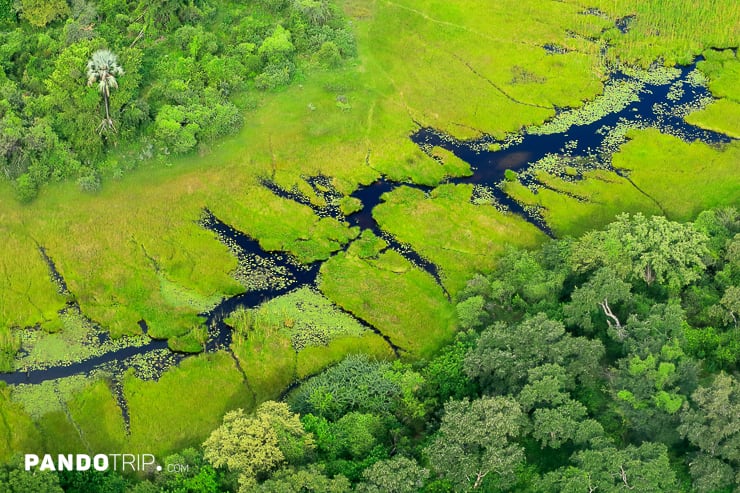 Aerial view of Okavango delta, Botswana