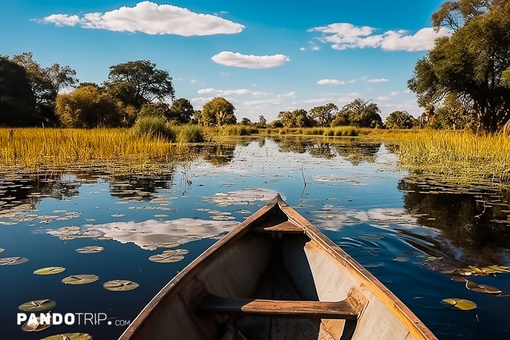 Boat on Okavango Delta, Botswana