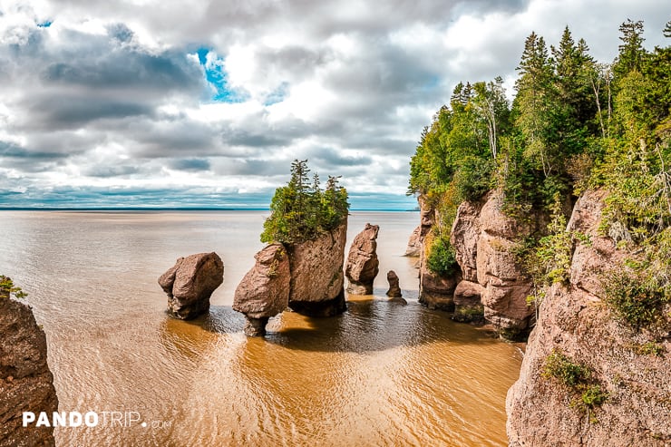 Flowerpot rock formations on Hopewell Rocks